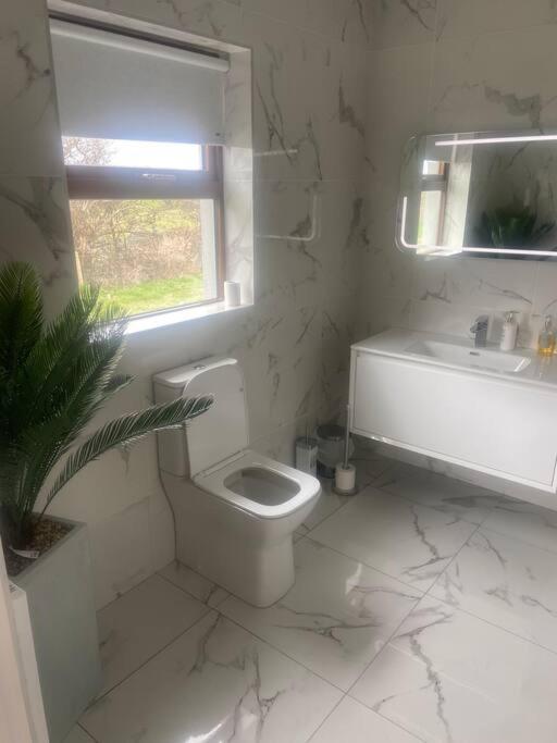 Modern Apartment At Croagh Patrick ويستبورت المظهر الخارجي الصورة